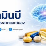 วิตามินบีบำรุงระบบประสาทและสมอง