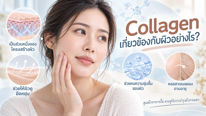 คอลลาเจนกับผิว